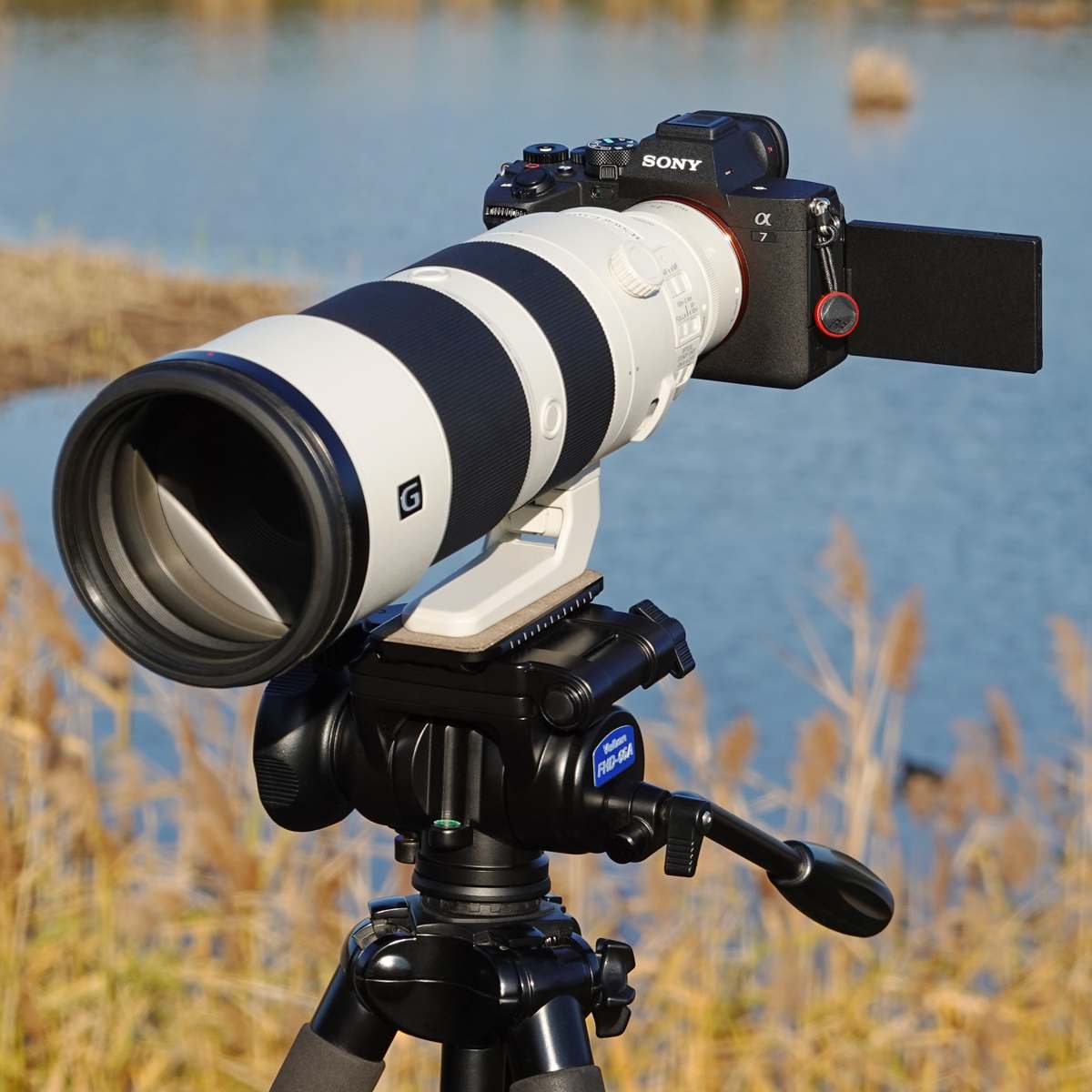 �\�j�[�u��7 IV�v�̐i������AF�����r���[�B�t���b�O�V�b�v�@�u��1�v����̎��͂́H