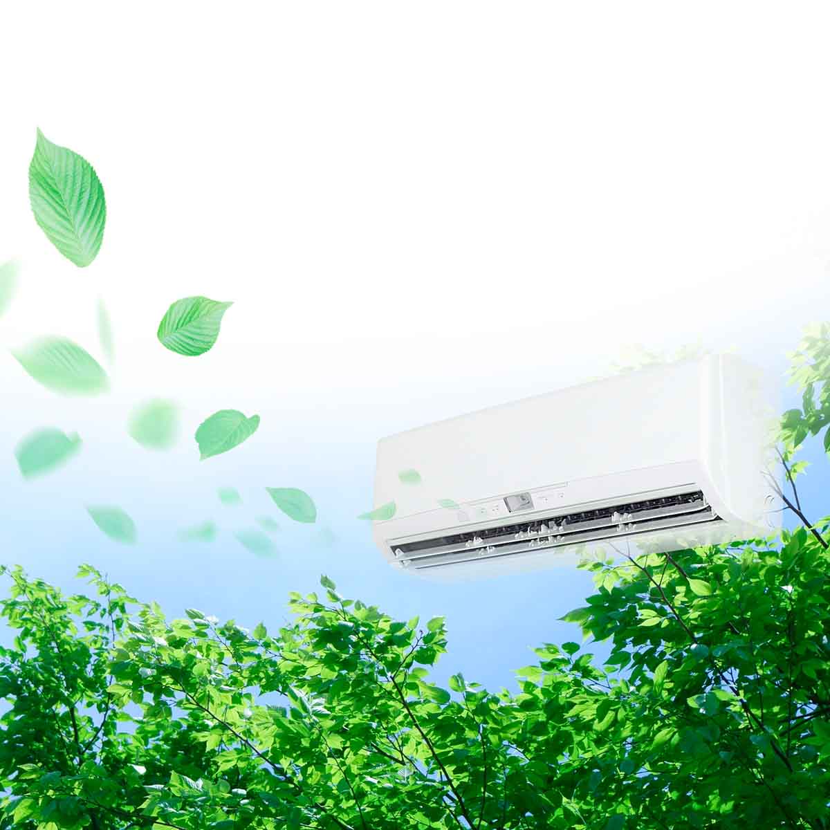 [PR]�ȃG�l�Ɠd�w���œd�C��ƃ|�C���g�̈ꋓ�����I�G�R�ł��g�N�ȁu�O���[�����C�t�E�|�C���g�v�����