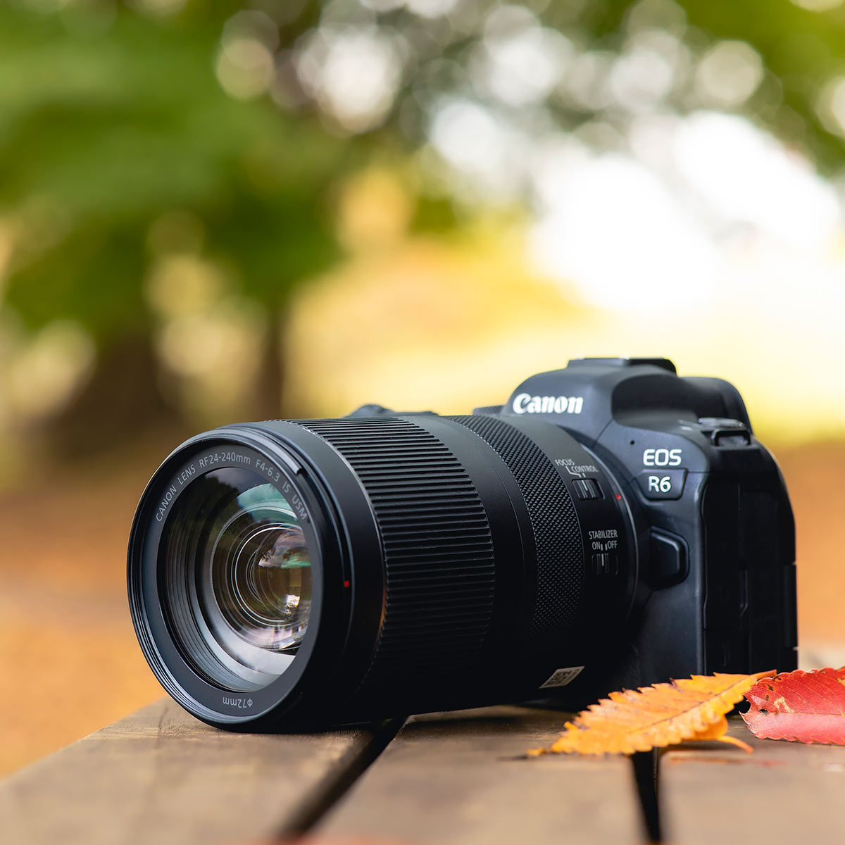 LmuRF24-240mm F4-6.3 IS USMvHŎg|I {Y[1{łǂ܂ŎBH