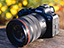 LmuEOS R6 Mark IIṽAbvf[g]@[U[OI