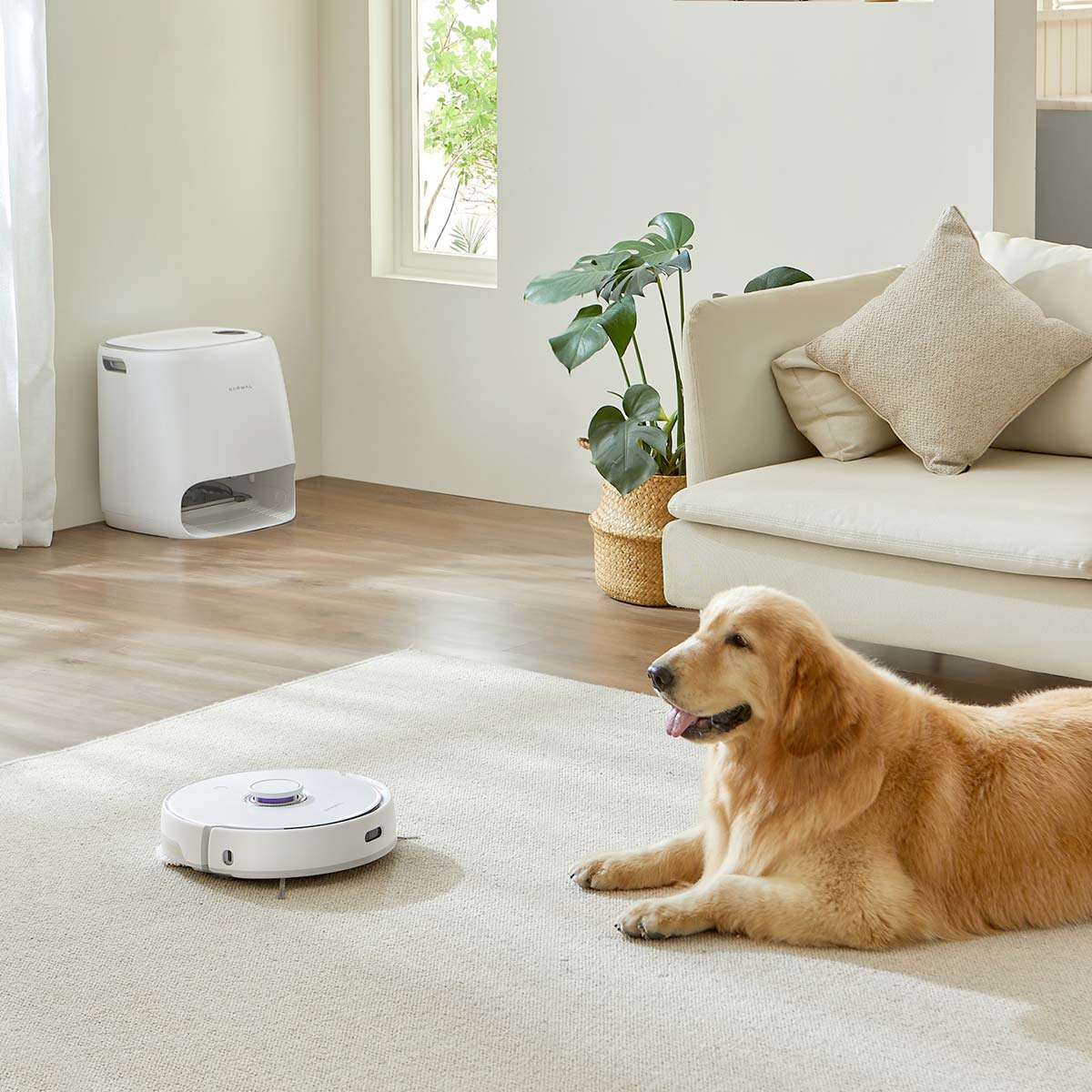 [PR]���|�����b�v�̐����g�݂�����l���āh���s���郍�{�b�g�|���@�uNarwal Freo�v���g���Ă݂�