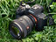 【カメラ】最新型「FE 50mm F1.4 GM」などソニーの大口径・標準レンズ3本撮り比べ！