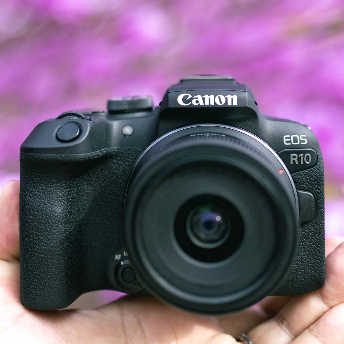LmuEOS R10vgčʌs̗rRƎO_ЂI 