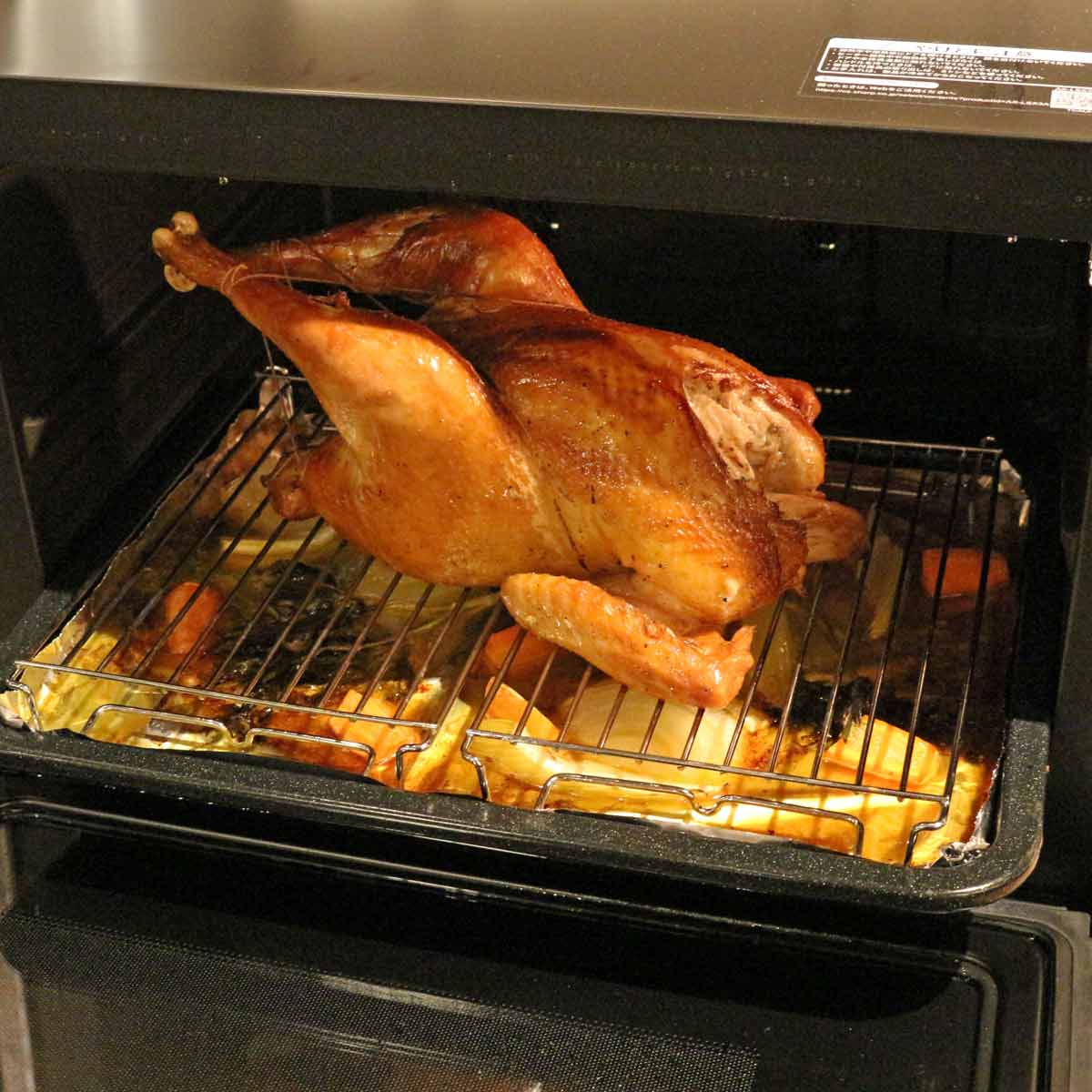 u˓c_v̒n{̊ۏĂy߂@I V[vuwVIv2023Nfo