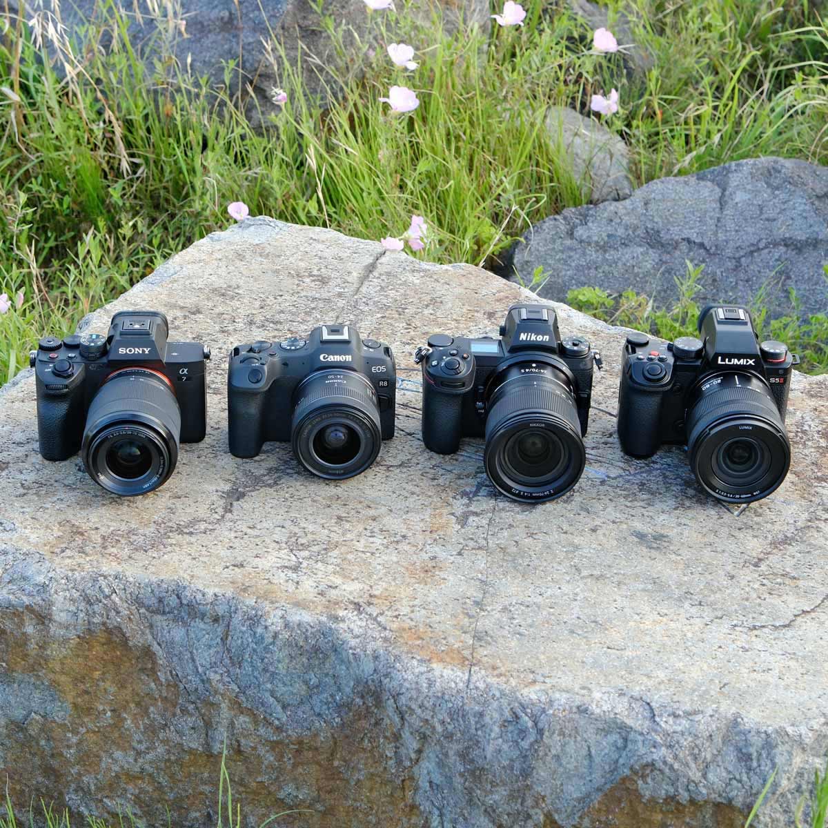 tTCY~[XJgԃfhOrI IŊԈႢȂ4@