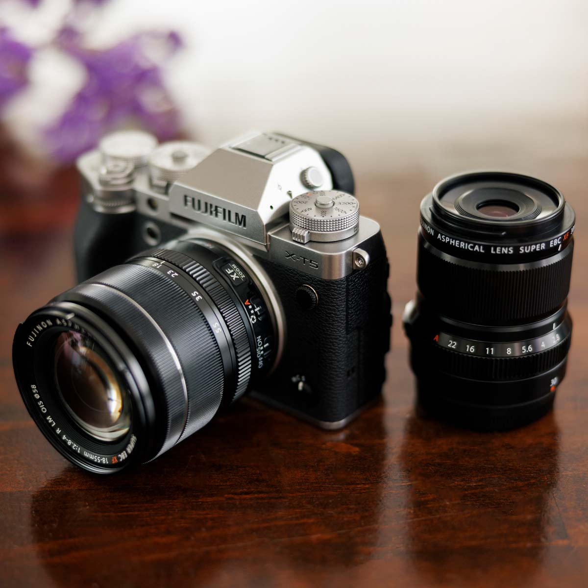 xmtCuX-T5vƂƂɒcn[uŃAuXJCB