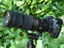 Җ]́g肪͂h]Y[uNIKKOR Z 180-600mm f/5.6-6.3 VRv