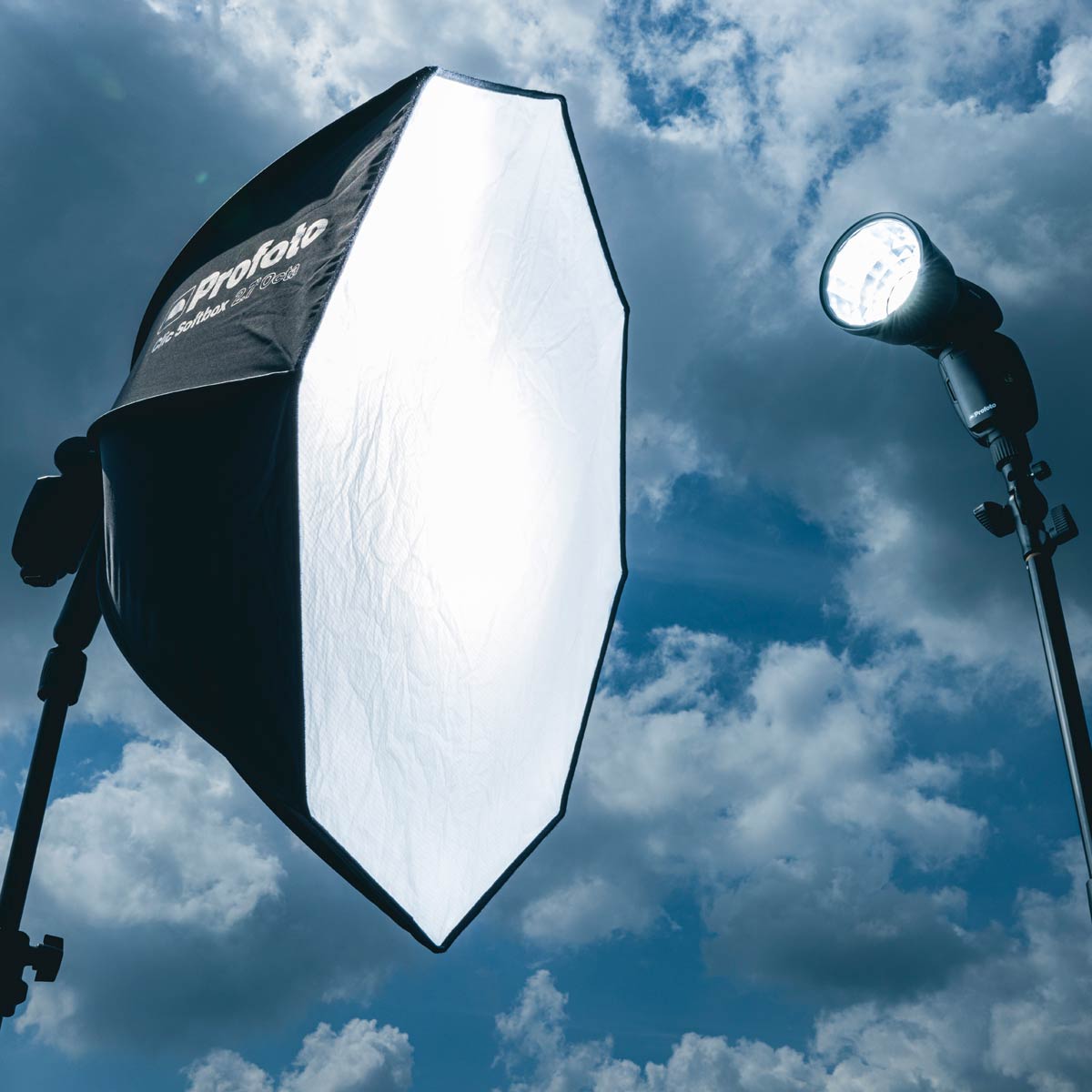 �|�[�g���[�g���ς��I �����V���N���̌��ʓI�Ȋ��p�e�N�j�b�N