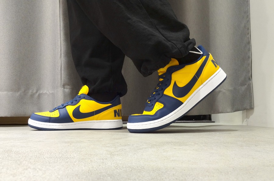 NIKE ナイキ ターミネーター ロー　ミシガンMichigan