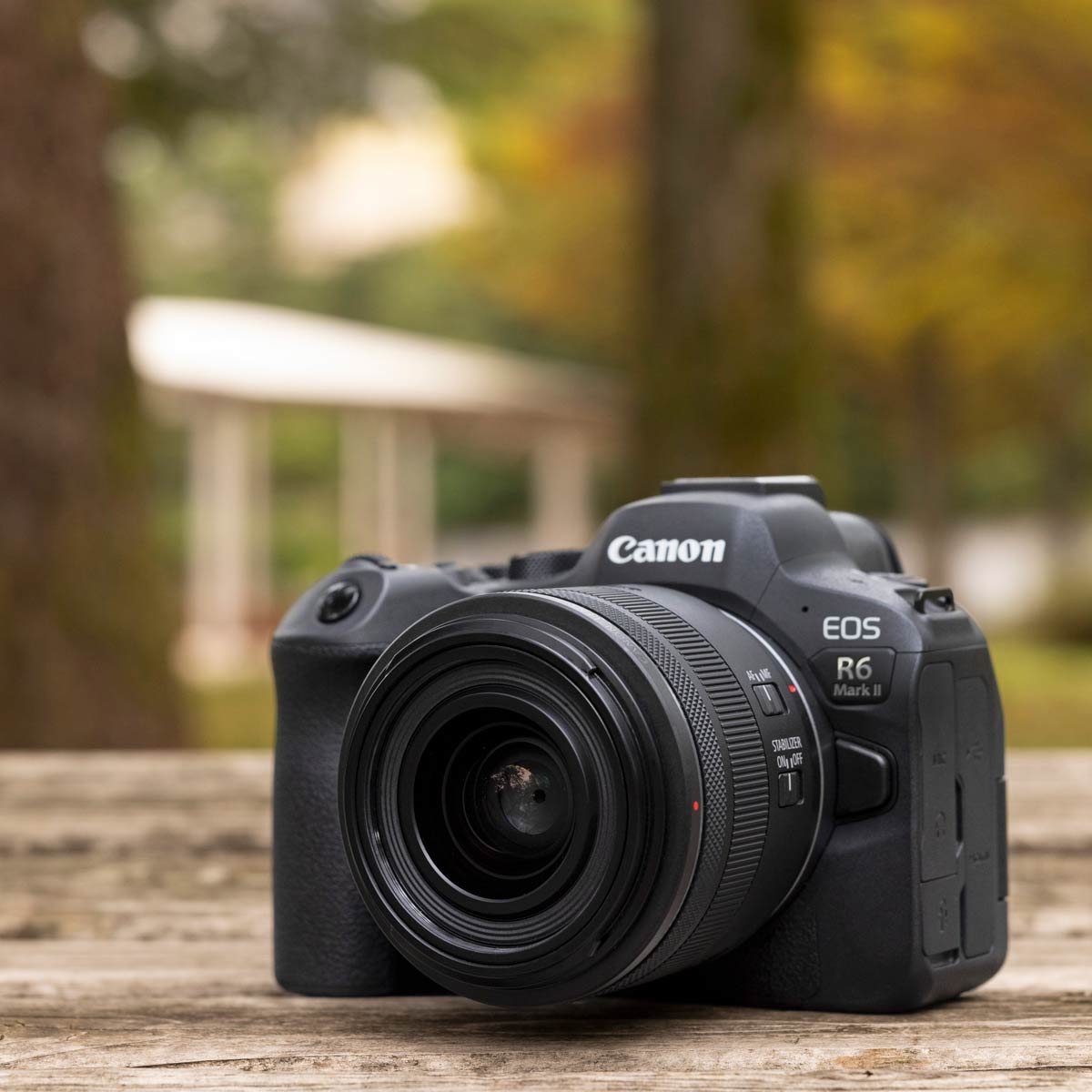 LpYuRF24mm F1.8 MACRO IS STMv1{ŋ̒XXibv