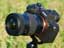 yJz^u17-50mm F/4 Di III VXDvr[I 17mm50mm1{ŃJo[