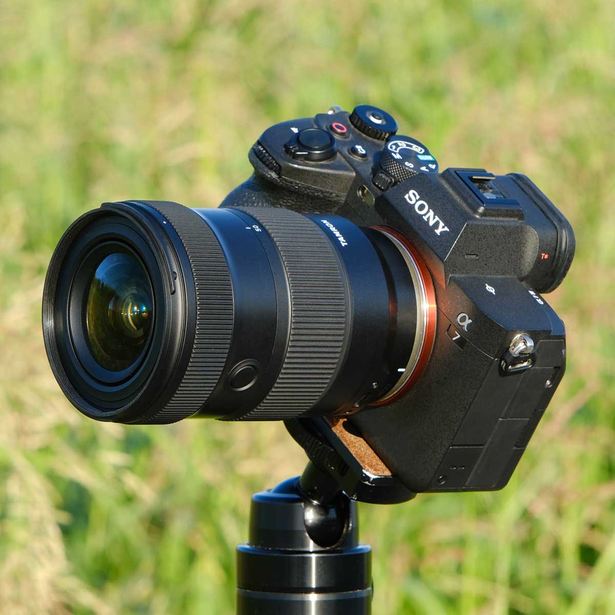 タムロン17-50mmの人気商品・通販・価格比較 - 価格.com タムロン17-50mmの人気商品・通販・価格比較 - 価格.com