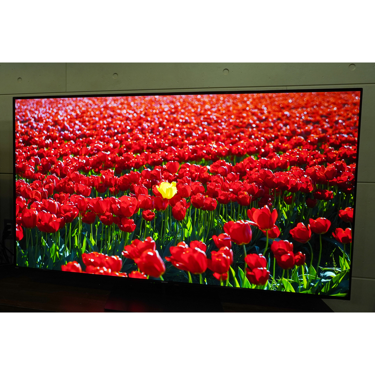 2QD-OLEDځI V[vuAQUOS QD-OLED FS1v͍LF×Px