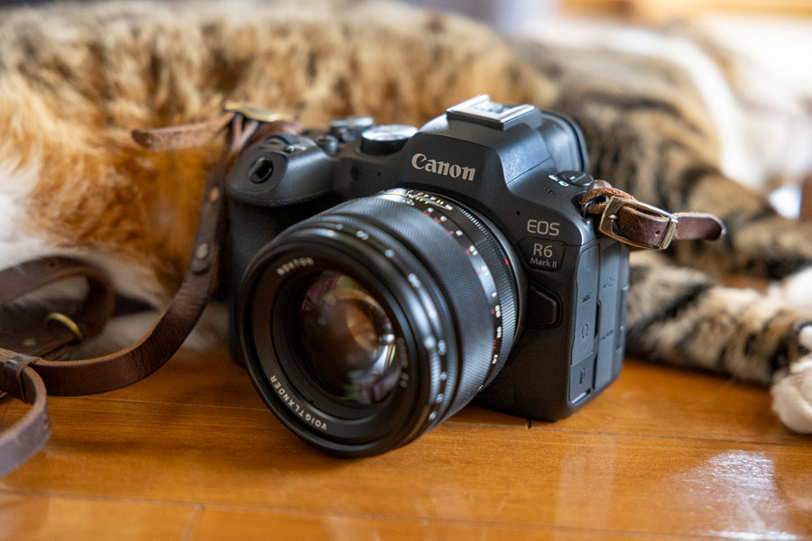 私のリアル相棒カメラ「EOS R6 Mark II」と新しい“目”との日々 - 価格