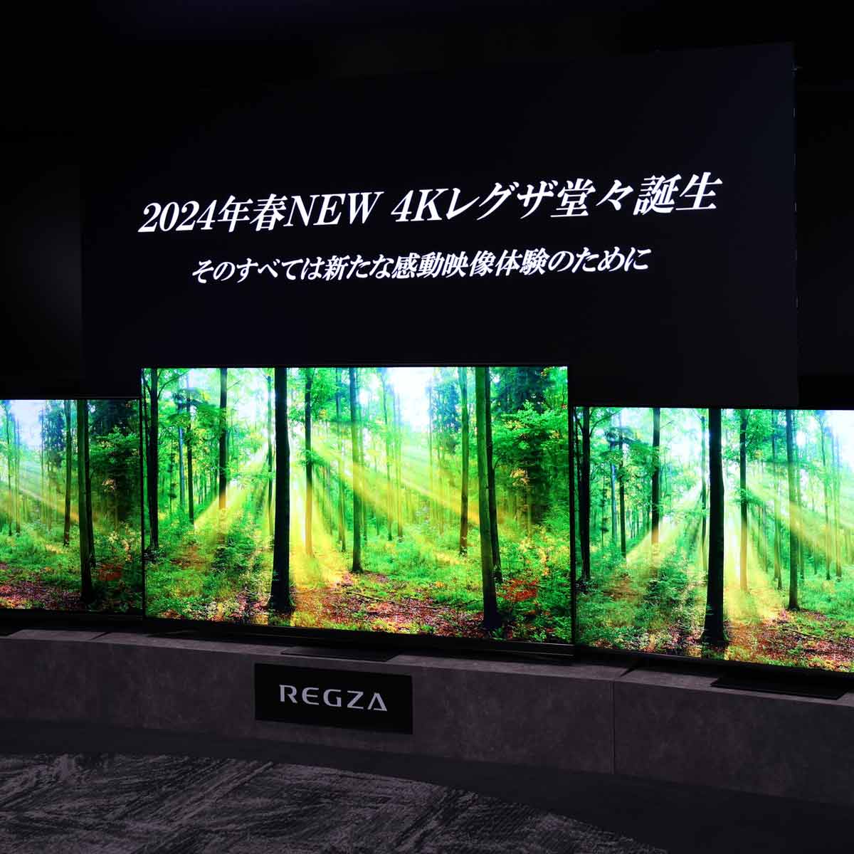 2024Nf́ghdlɐiI TVS REGZA̗L@EL^ter