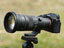 yJzVO}u500mm F5.6 DG DN OSv̉i͍H ƂH