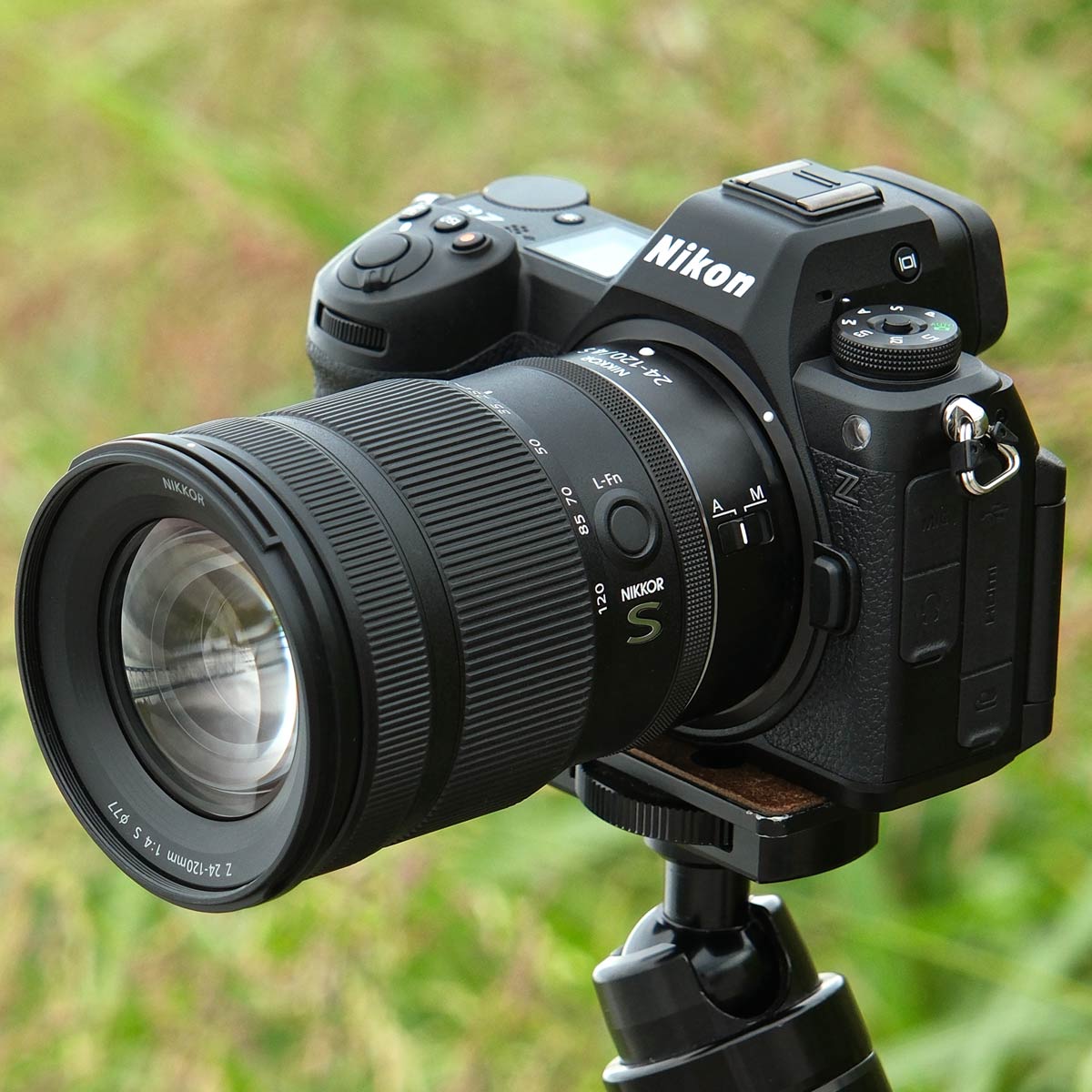 jRuZ6IIIvr[I VF@\̎ǵH