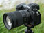 yJzZ}Eg̐_YIjRuNIKKOR Z 24-120mm f/4 Sv̐lCЂ