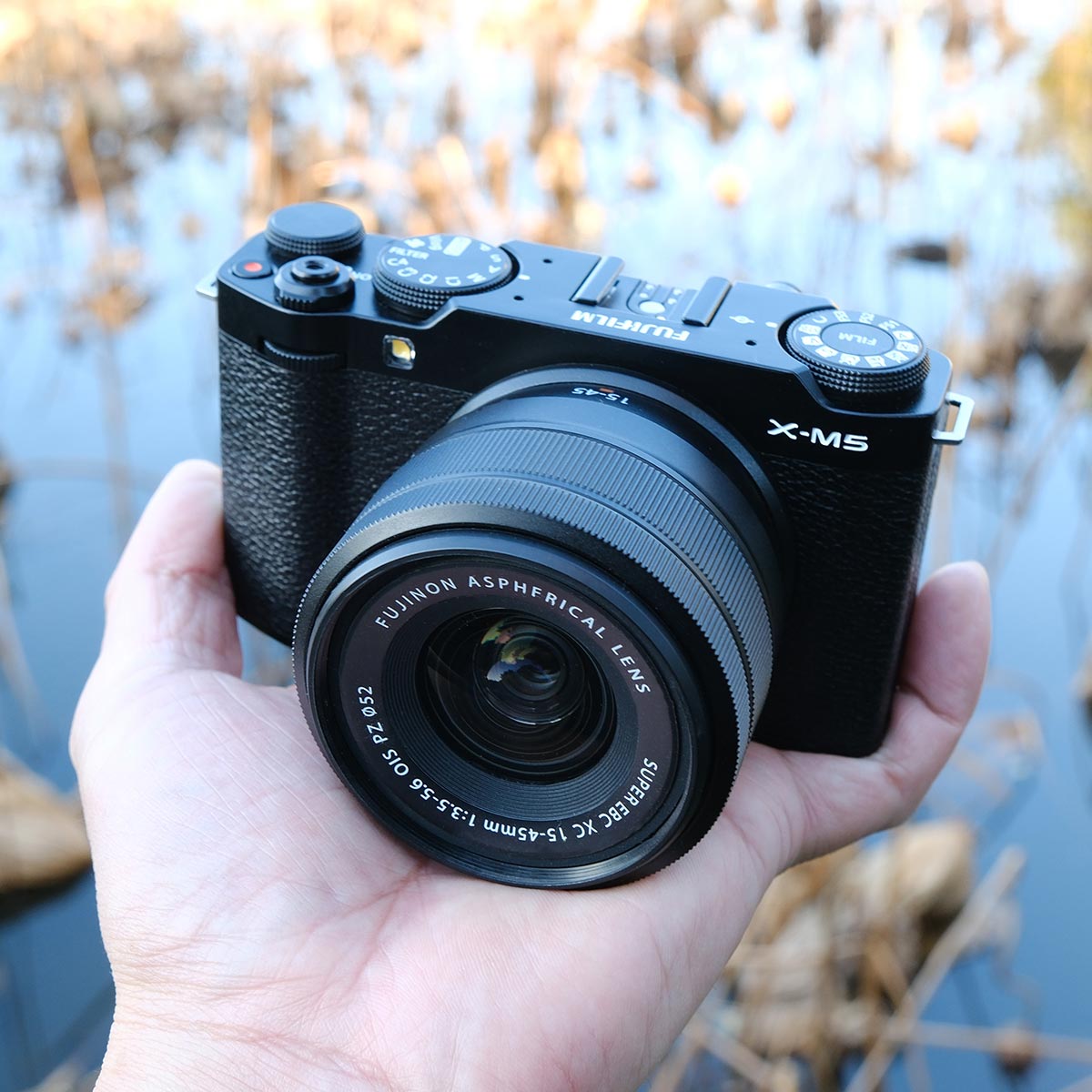 xmtCuX-M5v́g~Ȃh@I ^EyʁE@\Ȃ̂Ɉ