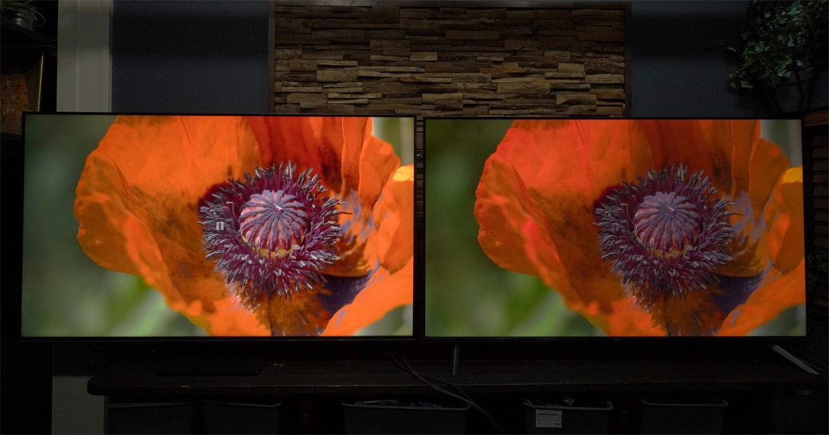 コスパ最強!? TCL「QM8B」とXiaomi「TV S Mini LED 2025」の画質を比べてみた