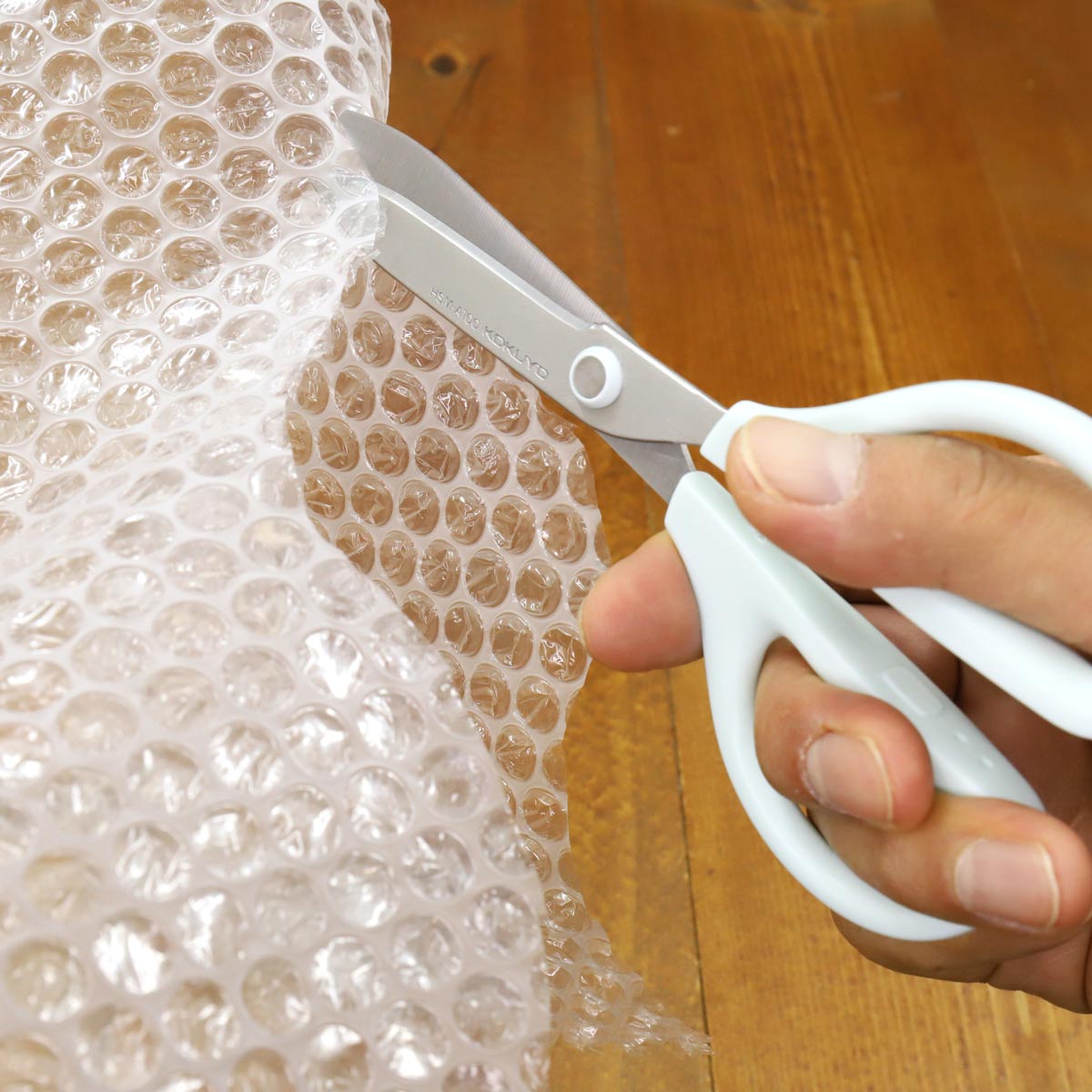 v`v`zXpbI RNuTNTv̐؂ꖡ̔閧𕶖[̃v