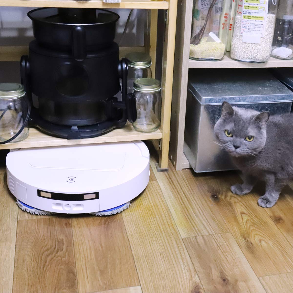 ロボット掃除機 DEEBOT T50 OMNI」の人気商品一覧 | 安い商品を通販