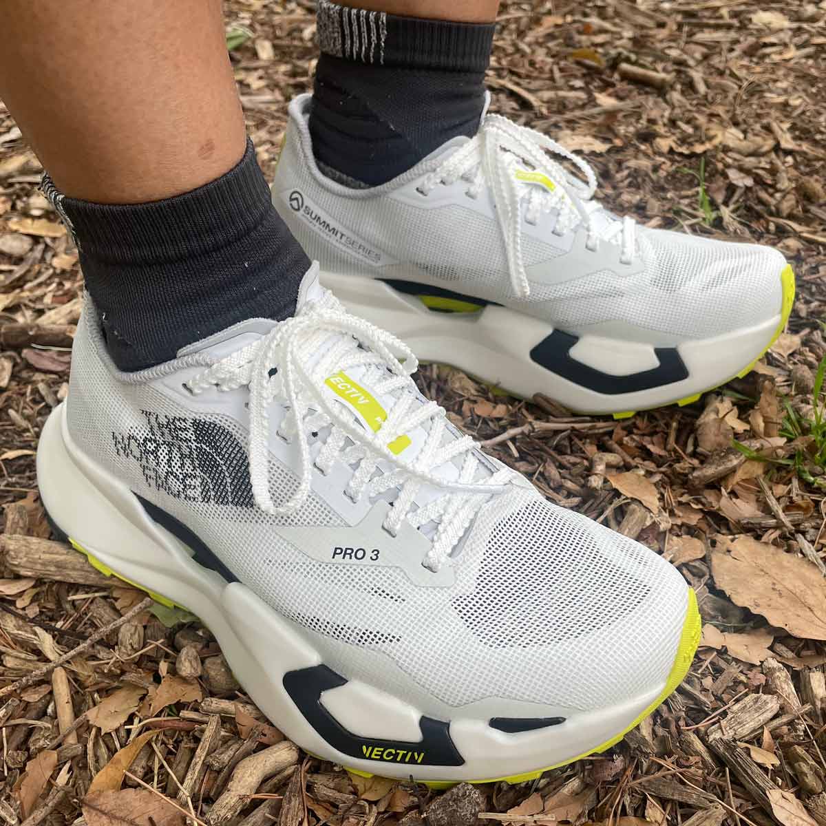 PKȂi[ɁI gm[Xh̐VV[Y͈聕S̗Sn