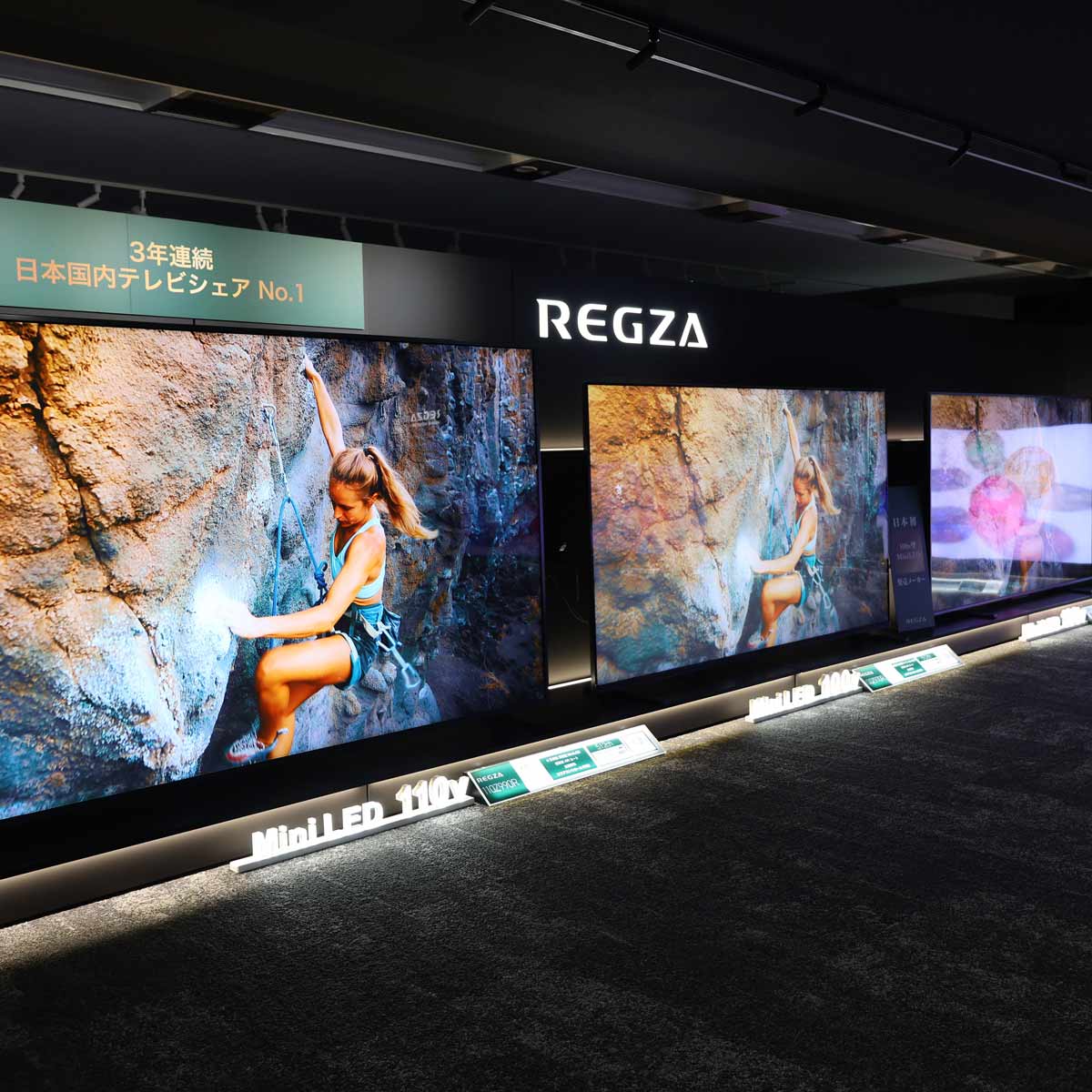 TVS REGZÂ߃er5I L@ELmini LED掿Iy2025N9z