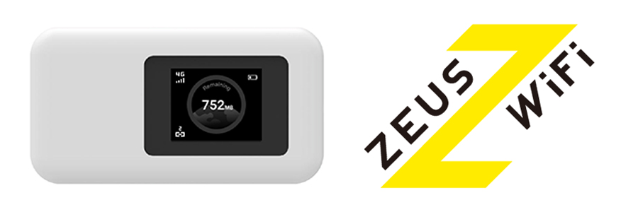 �X�^���_�[�h�v���� 30GB�i�[�������^���j 2�N�_��