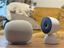 �y�J�����z�f���������Ƀy�b�g��Ƒ��̗l�q���ۂ킩��!? Google Home�́uAI�����v