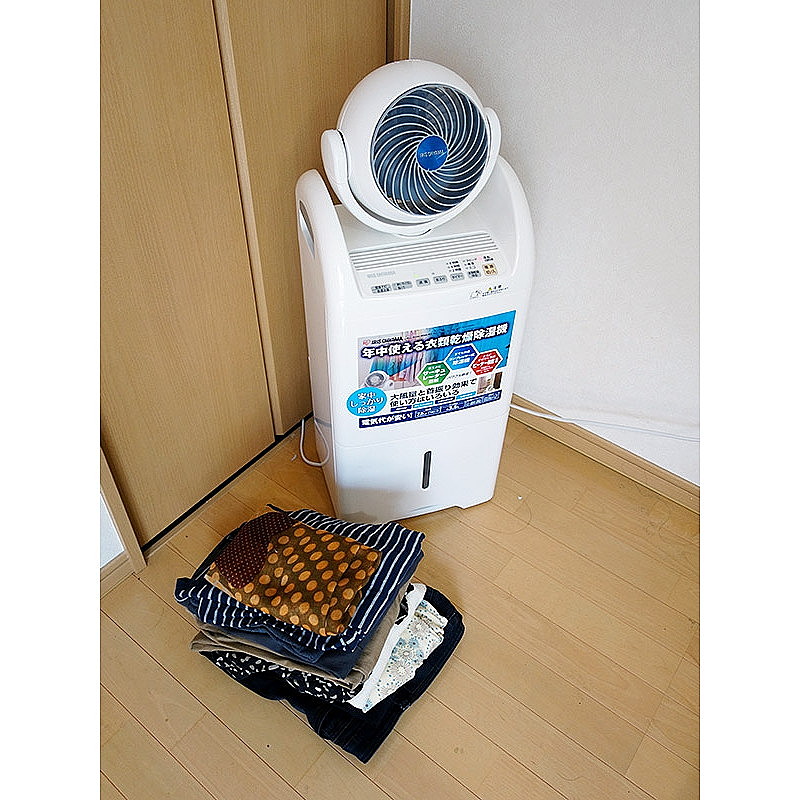 @ǈߗފ@T[L[^[́uDCC-6513vāH