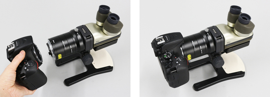 Nikon - ニコン小型 双眼実体顕微鏡 ネイチャースコープ ファーブル改