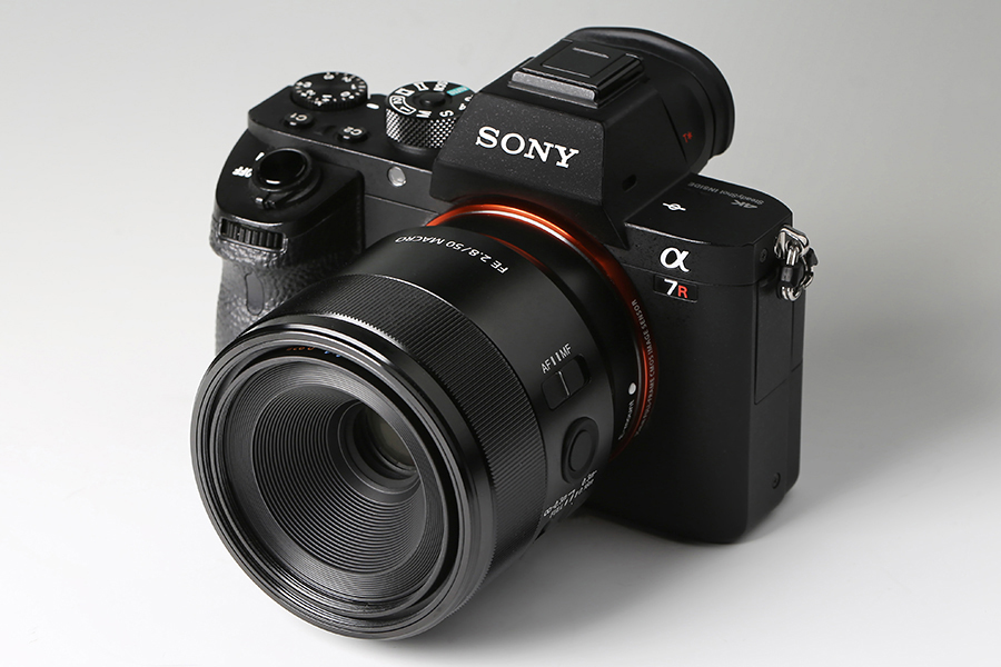 SONY FE 50F2.8 MACRO-uwasnet.org