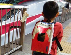 yS{ObY1zwɐV܂悹Ă݂B