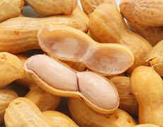 {̗Ԑ\ȂAł̂ԂĒmĂH