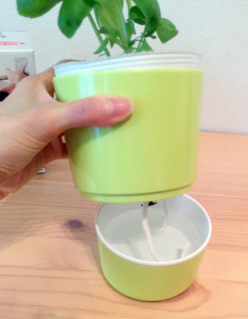 毎日の水やりから解放されるイタリア生まれのオシャレな植木鉢 価格 Comマガジン