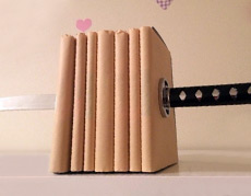 {ɋhIɂȂĂ悤Ɍ邨ȃubNGh