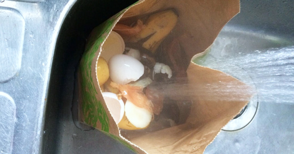 OpR[i[悤ȂB܂邲Ǝ̂Ă鐶S~p