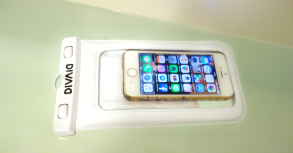 Cv[ő劈IgɕhhX}zP[X𔭌