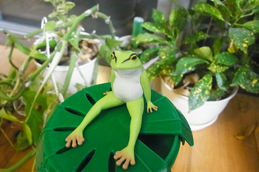 Ȃu gJG^hRoG̎͂͂ɁH