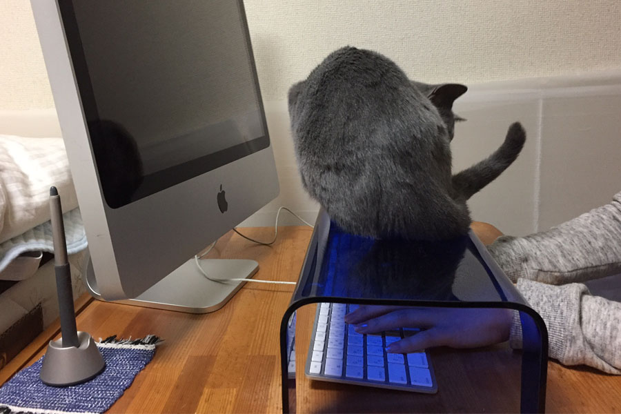 猫の襲撃からキーボードを守る 専用カバーにちょっと罪悪感 価格 Comマガジン
