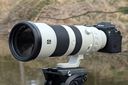 tTCY800mmI uFE 400-800mm F6.3-8 G OSSvōL钴]̐E
