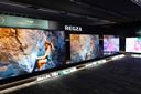 TVS REGZA�̂������߃e���r5�I �L�@EL��mini LED�����掿�I�y2026�N1���z