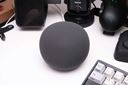 ���̏��Gemini���풓�I �uGoogle Home �X�s�[�J�[�v�͗D�G�Ȕ鏑�H