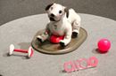 「aibo(アイボ)」が帰ってきた! 愛くるしい表情と滑らかな動きを動画でチェック