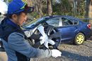 後からはがせる不思議な塗料「スプレーフィルム」を愛車に塗ってみた