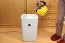 リビングが安定の湿度50%超え! 給水スタイルが新しいシャープの2Way加湿器を使ってみた