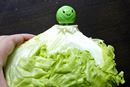 実験! 「野菜の鮮度を長持ちさせるグッズ」って本当に効果あるの?