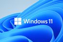 ÂȑDóuWindows 11vAAbvO[hvȂǂ߂ă`FbN