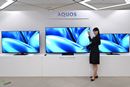 SfAI掿EƊZVOځI V[v2023N4KtAQUOS